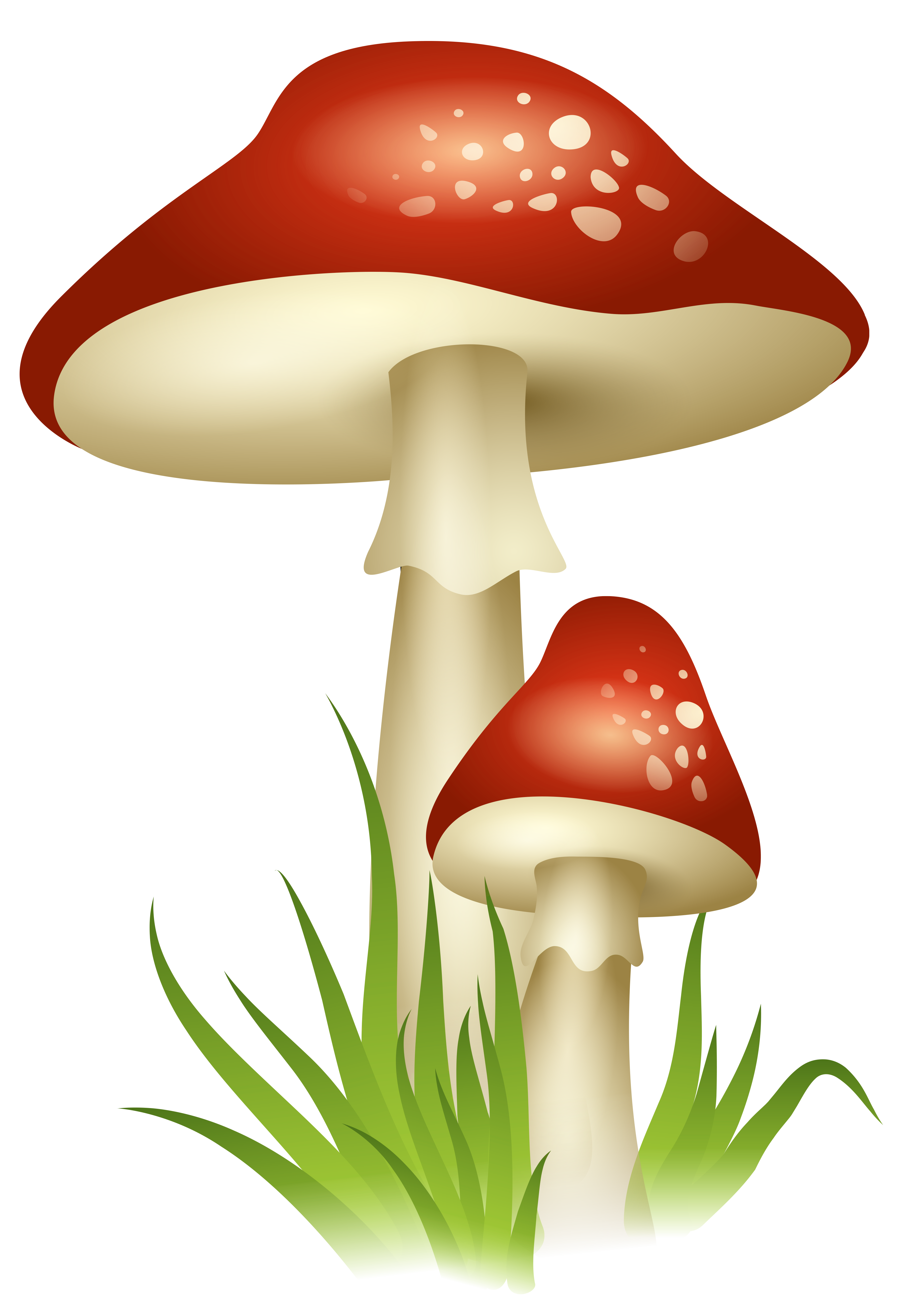 Free Mushroom Transparent, Download Free Mushroom Transparent png images,  Free ClipArts on Clipart Library
