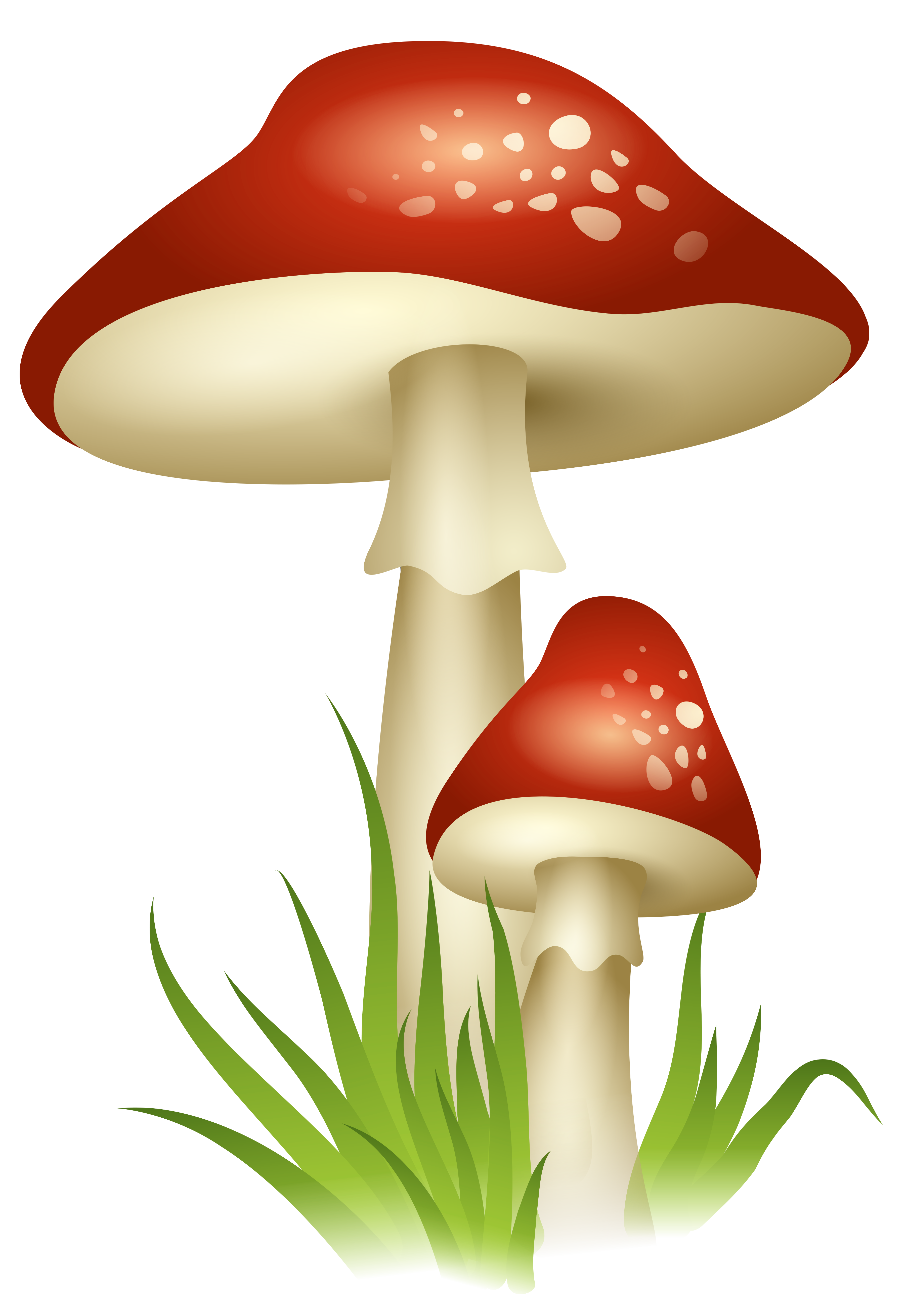 Mushroom clipart transparent 