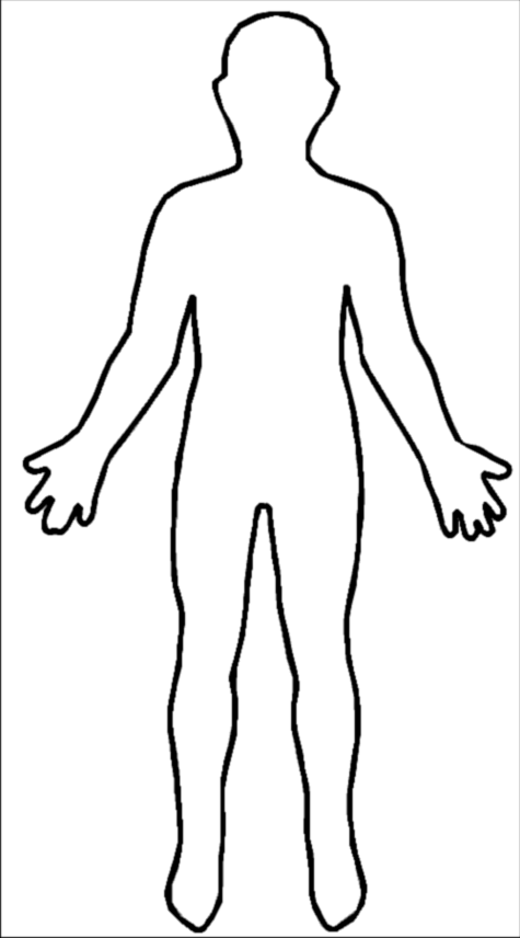 female body outline