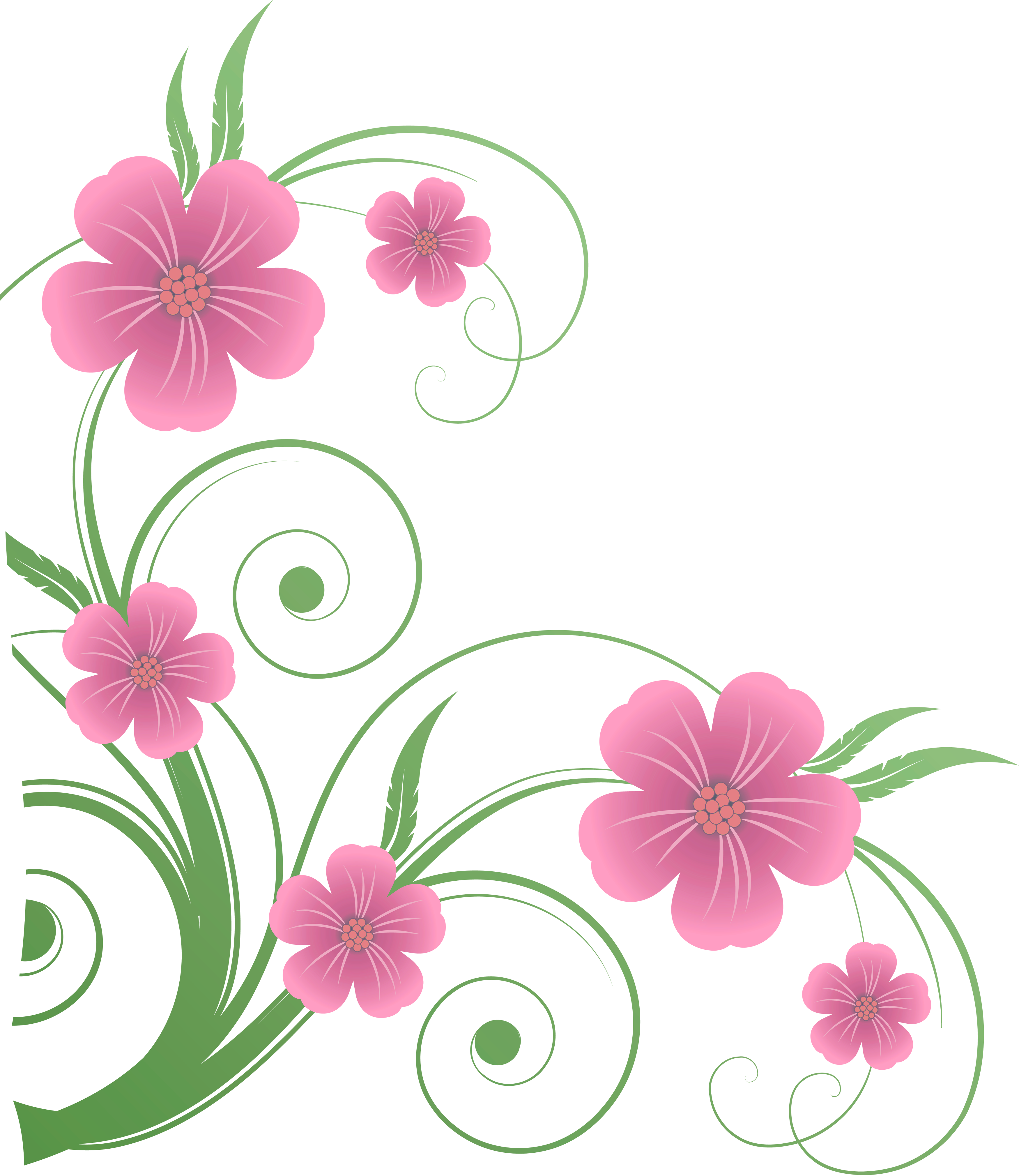 Free Floral Png Transparent Download Free Floral Png Transparent Png Images Free Cliparts On