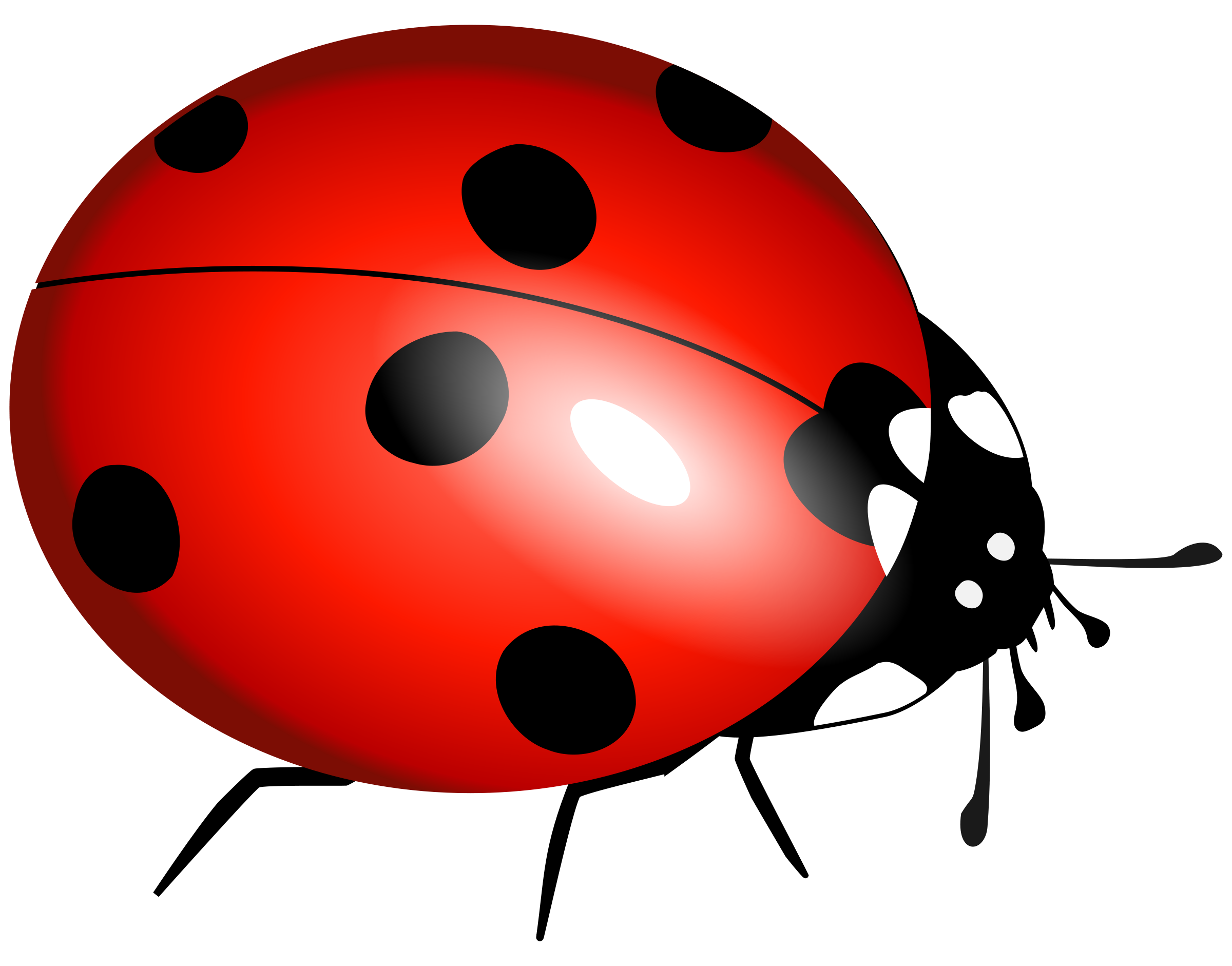 Free Free Ladybug Cliparts Download Free Free Ladybug Cliparts Png 