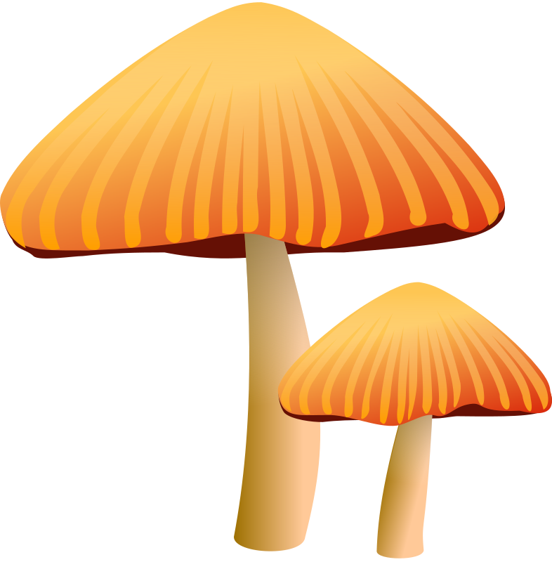 Free to Use  Public Domain Mushroom Clip Art 