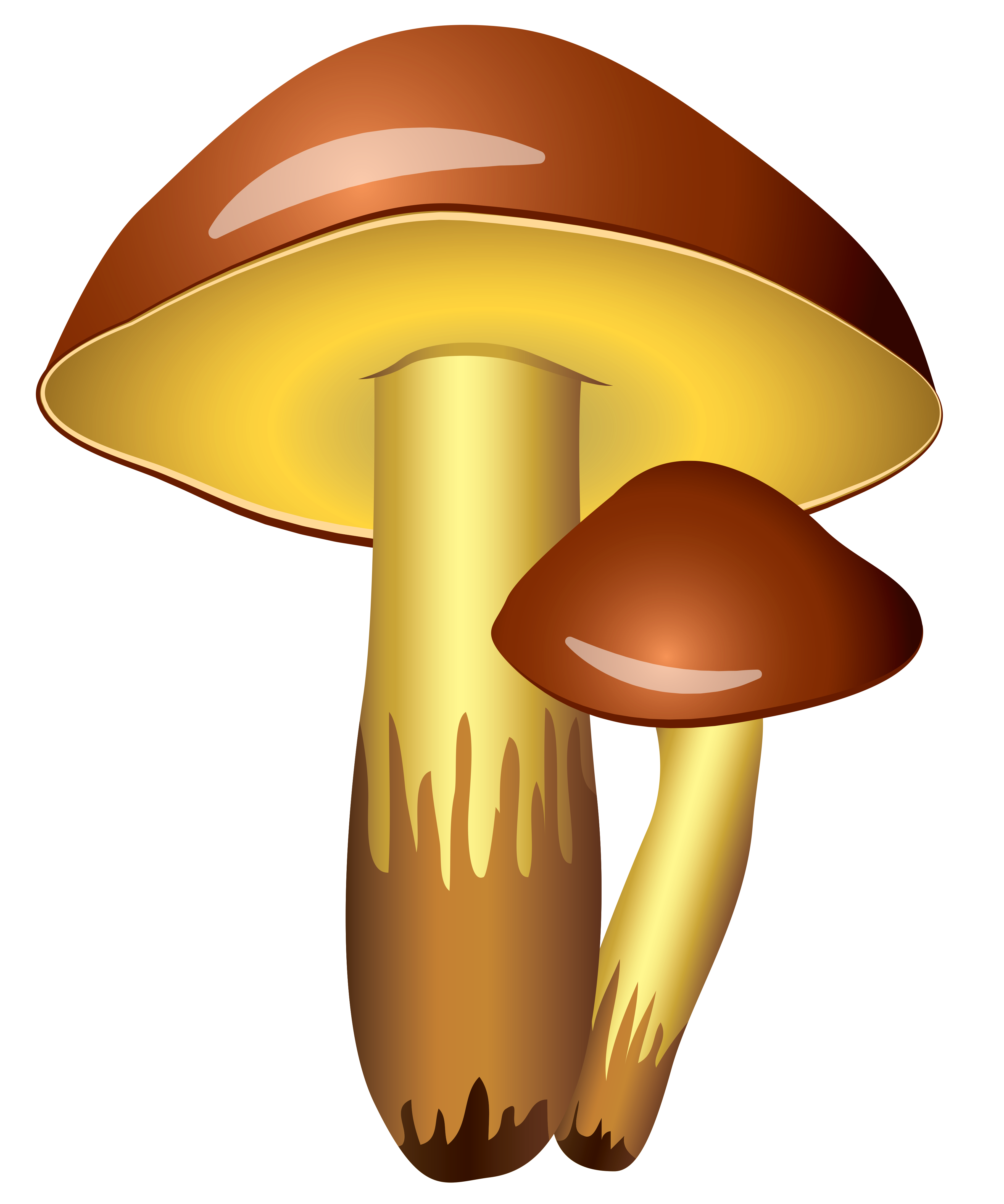 Mushrooms Transparent PNG Clipart Picture 