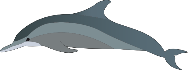 Dolphin Clip Art at Clker 