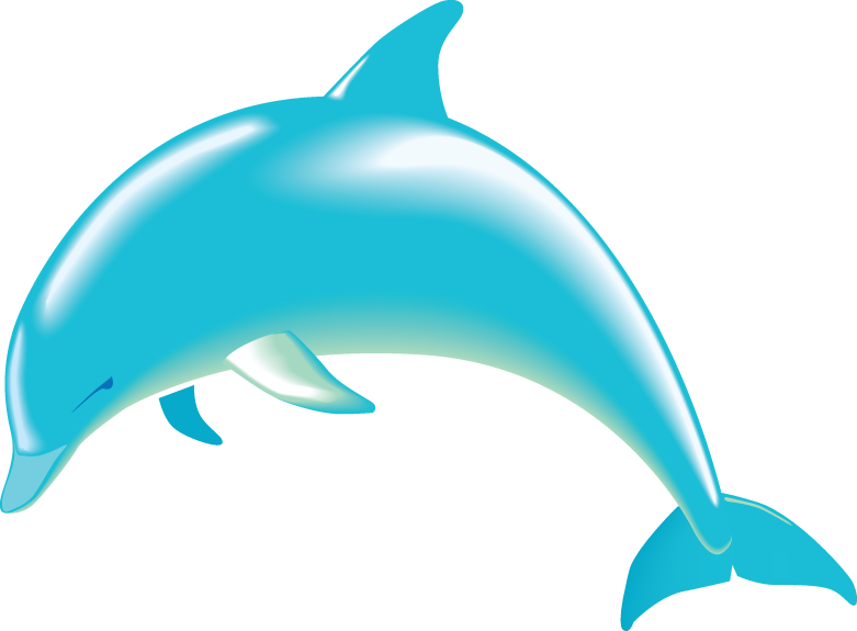 Bottle nosed dolphin clipart 