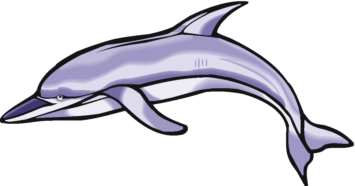 Bottlenose dolphin clipart 
