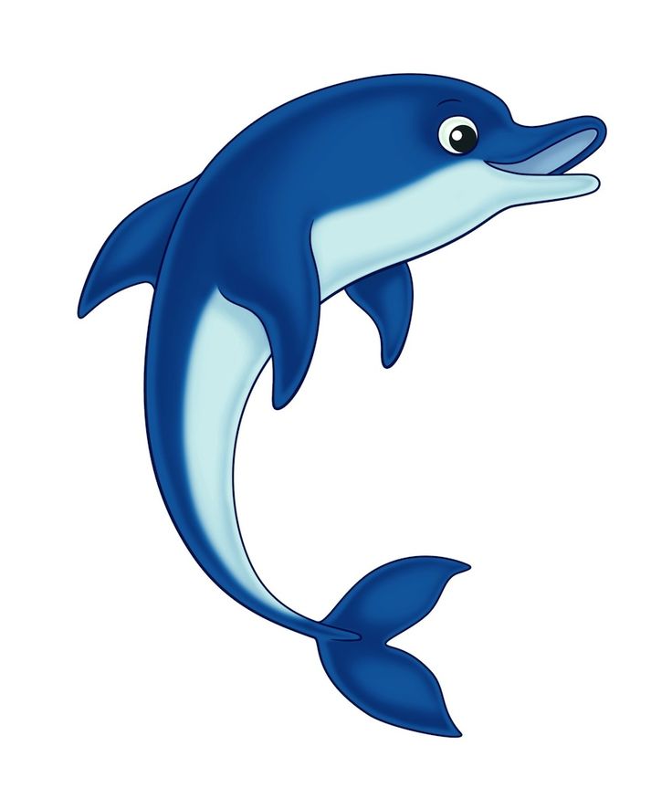 Dolphins emerge from water clipart 
