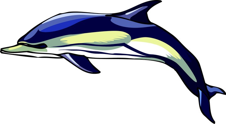 Dolphin Clipart Cute Clip Art Animals Downloadclipartorg 