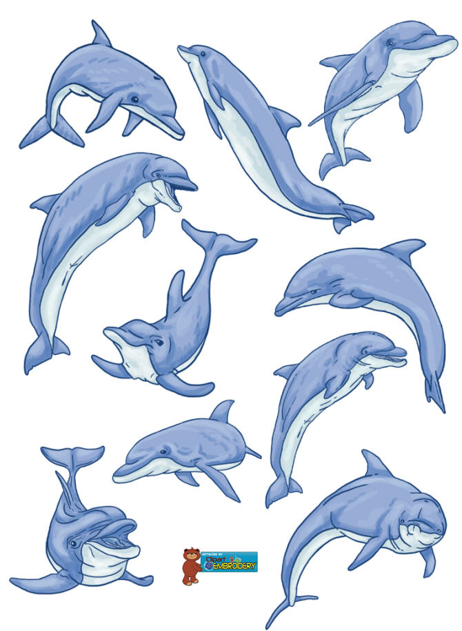 Dolphins clipart image 