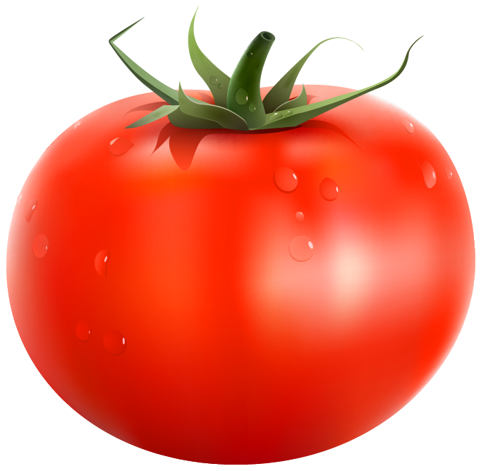 Tomato PNG Clipart Picture 