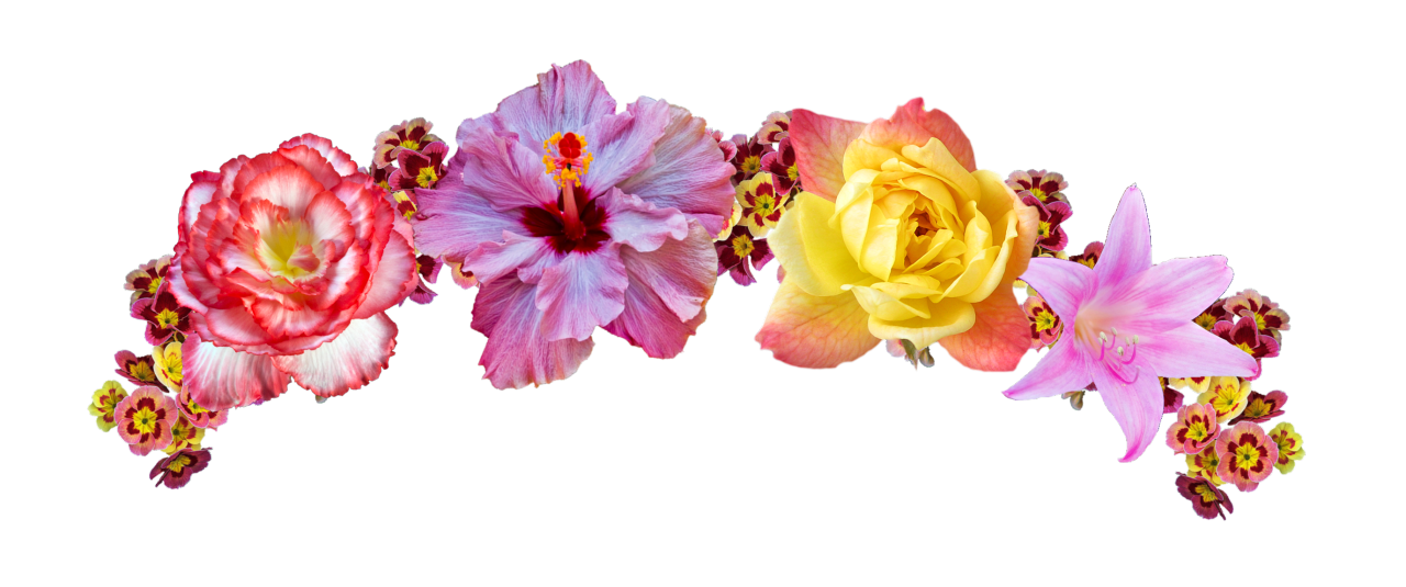 Free Flower Crown Cliparts, Download Free Flower Crown Cliparts png