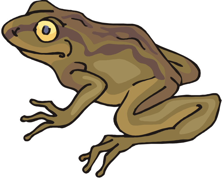Toad clip art 