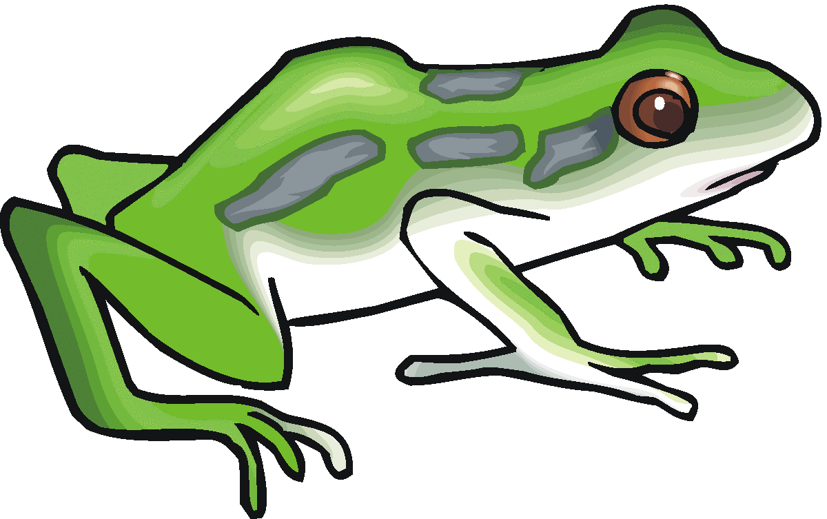 0 toad clip art 