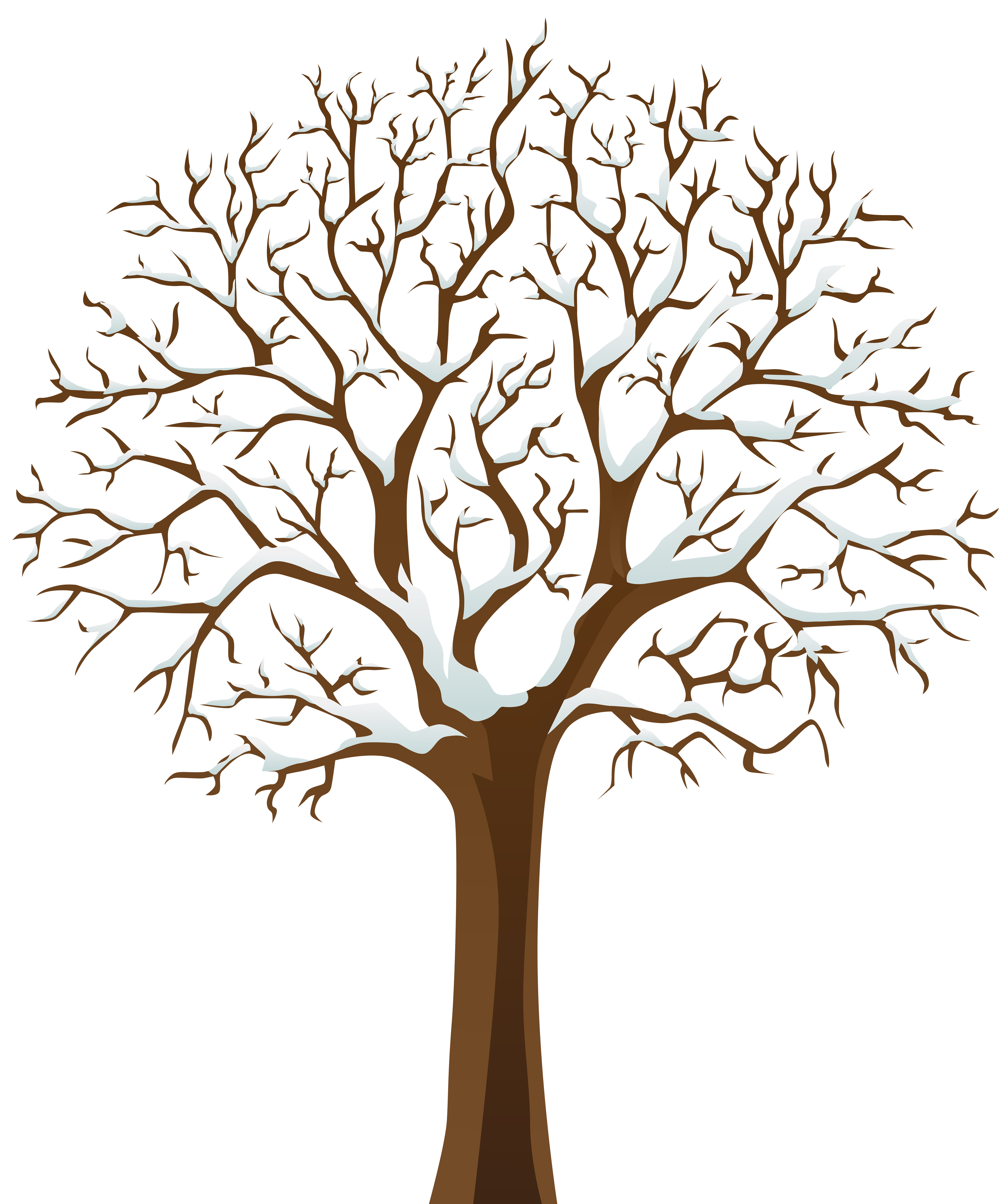 Snowy Winter Tree Transparent PNG Image 