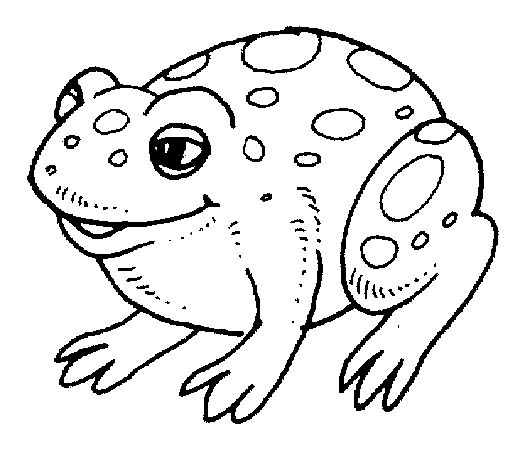 Black And White Bumpy Toad Royalty Free Clipart Picture. Snowjet.co 
