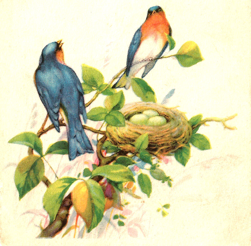Free Vintage Bird Graphics 