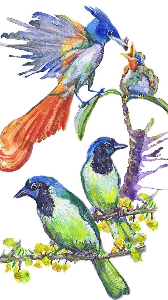 Watercolour Birds Clipart Commercial use Painted Bird Clip Art 