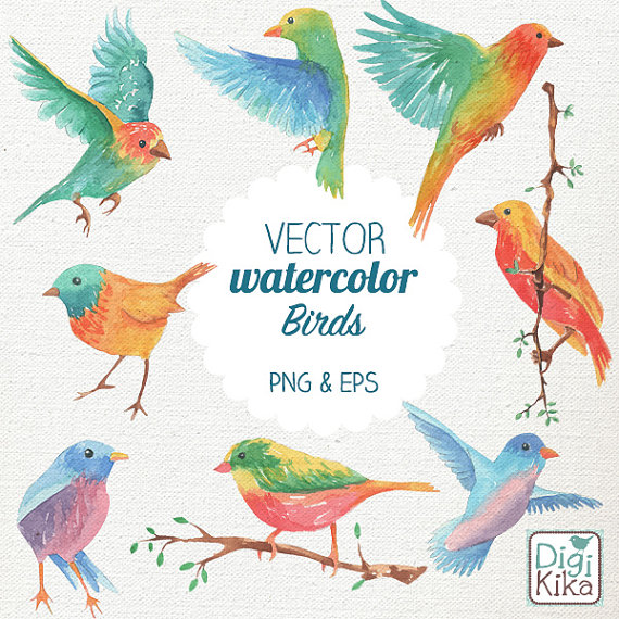 Vector Watercolor Birds Clip Art Hand Painted Birds Vector by 