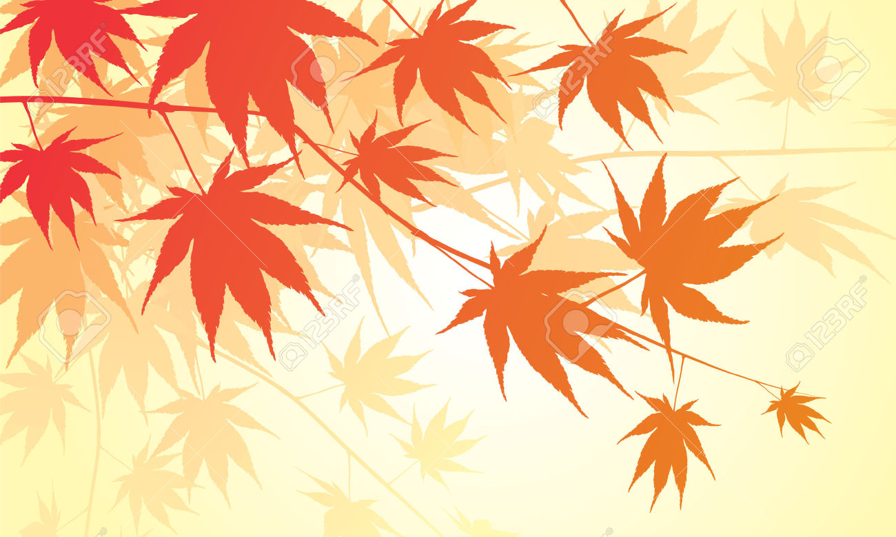Japanese maple clipart no background 