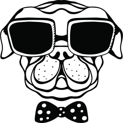 Bulldog with sunglasses clipart 