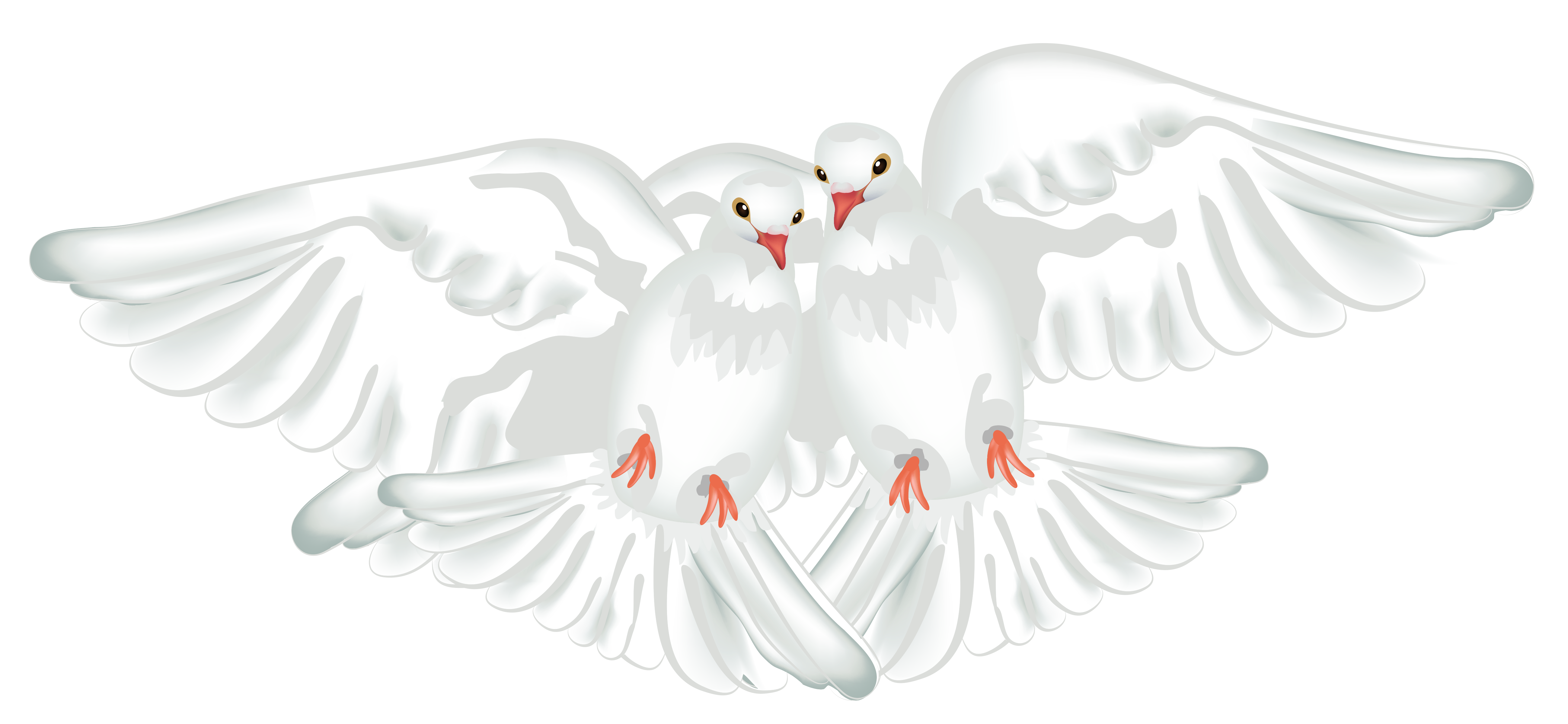 White Doves Transparent PNG Clipart 