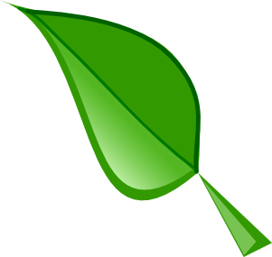 Leaf Design Clipart 