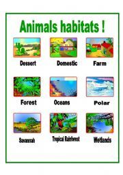 habitat of 5 different animals - Clip Art Library