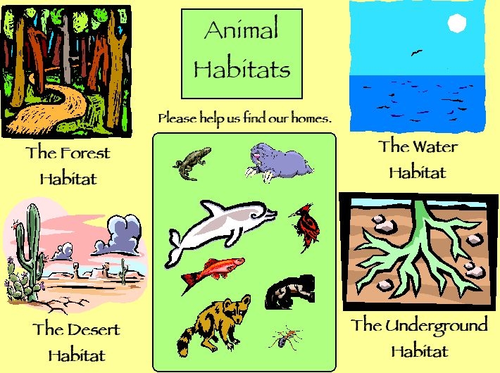 Free Animal Habitat Cliparts, Download Free Animal Habitat Cliparts png