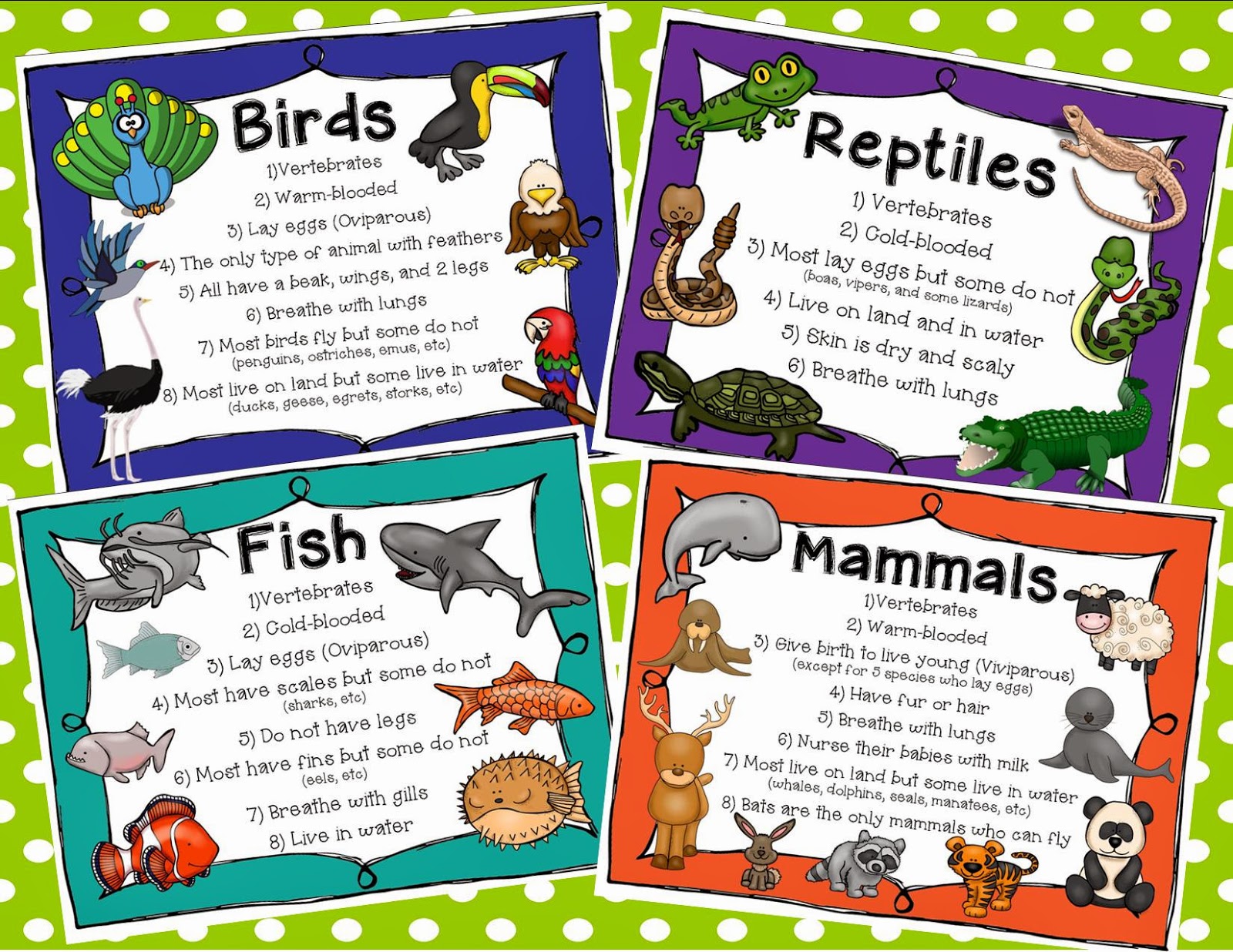 classification of animals for grade 2 - Clip Art Library