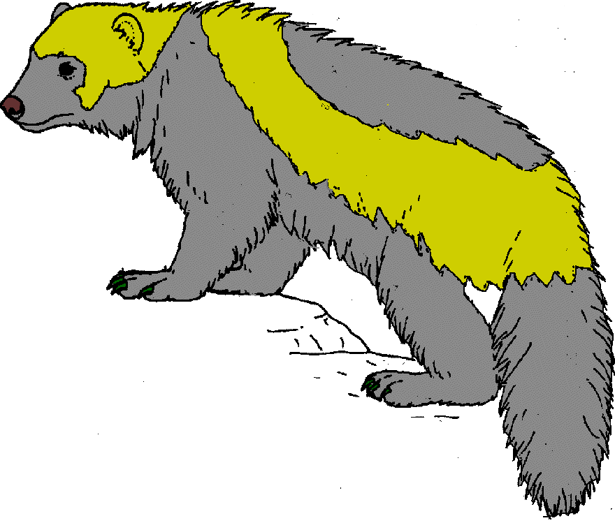 wolverine animal simple drawing - Clip Art Library