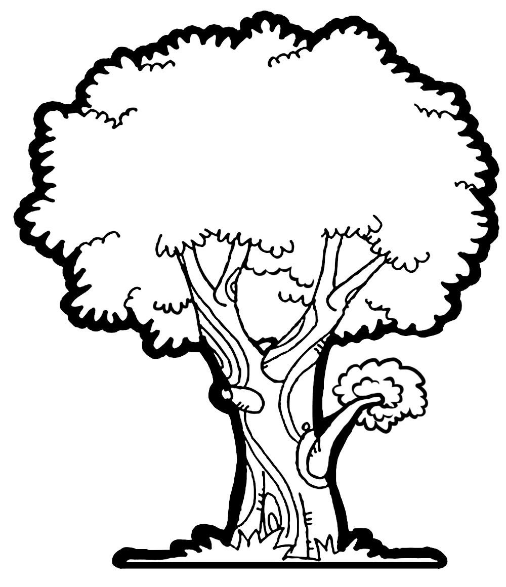 drawing of a mango tree - Clip Art Library