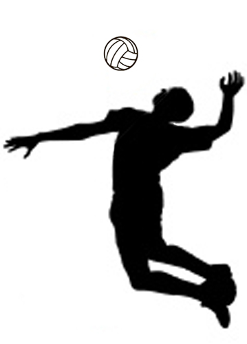 Volleyball image clip art 