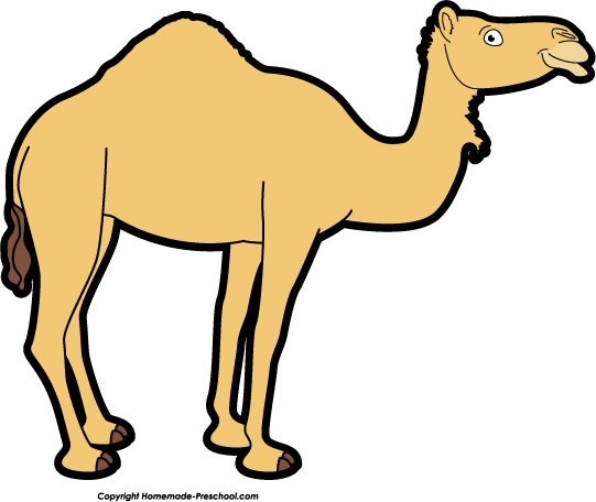 Camel clipart 