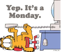monday only happens once a week funny garfield days of the week 