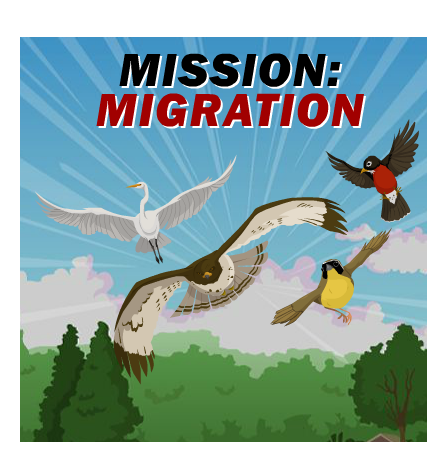 Free Migrating Animals Cliparts, Download Free Migrating Animals