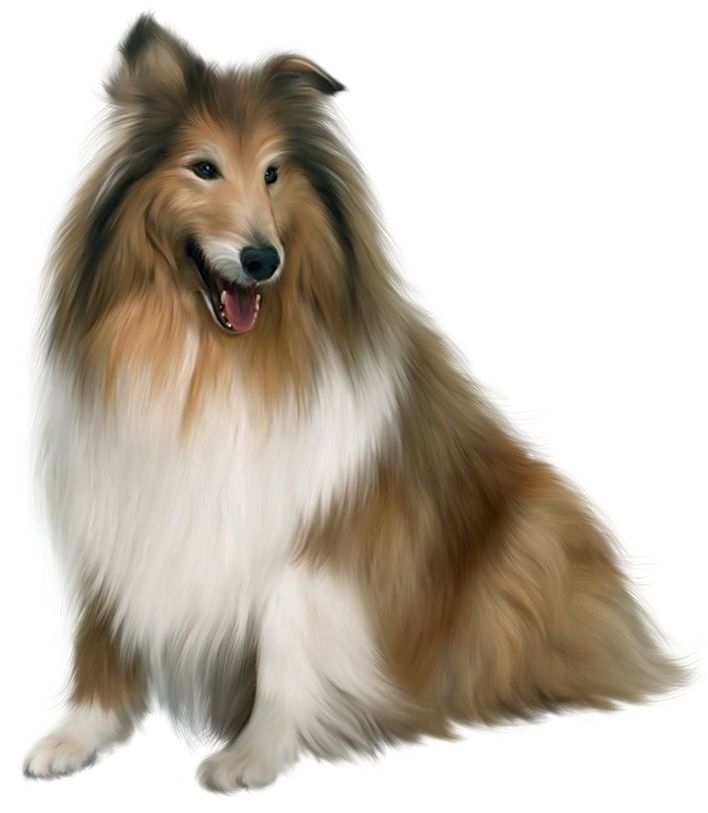Realistic Dog Clipart 
