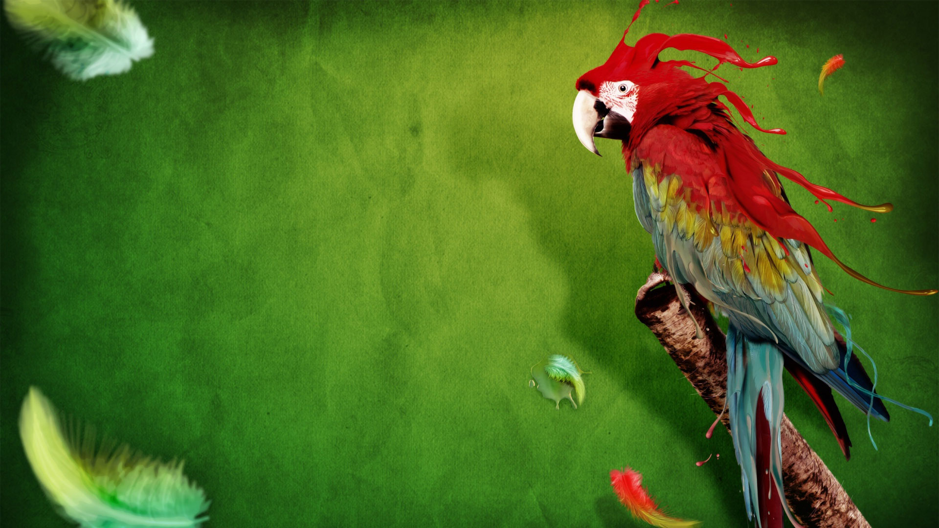 Parrot clipart desktop 