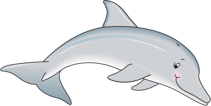 Dolphin blowing water out of its blowhole clipart png 