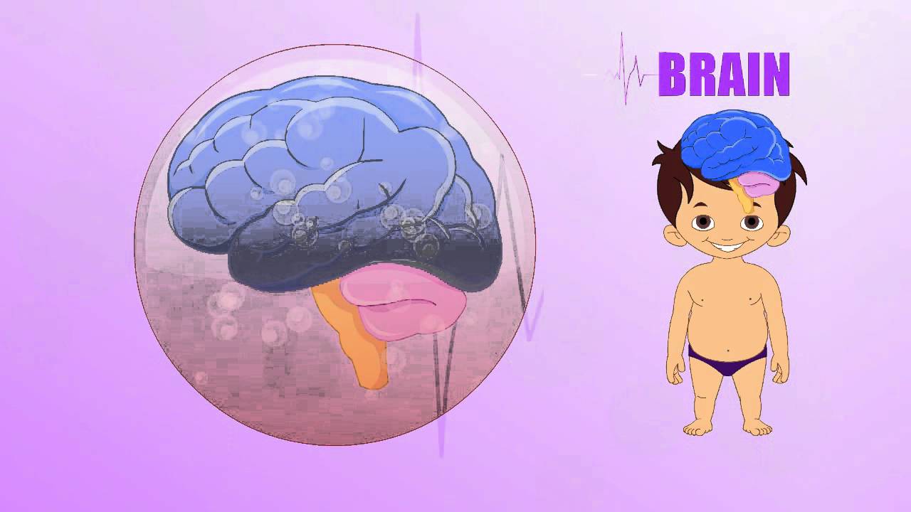 Free Animated Brain Cliparts, Download Free Animated Brain Cliparts png