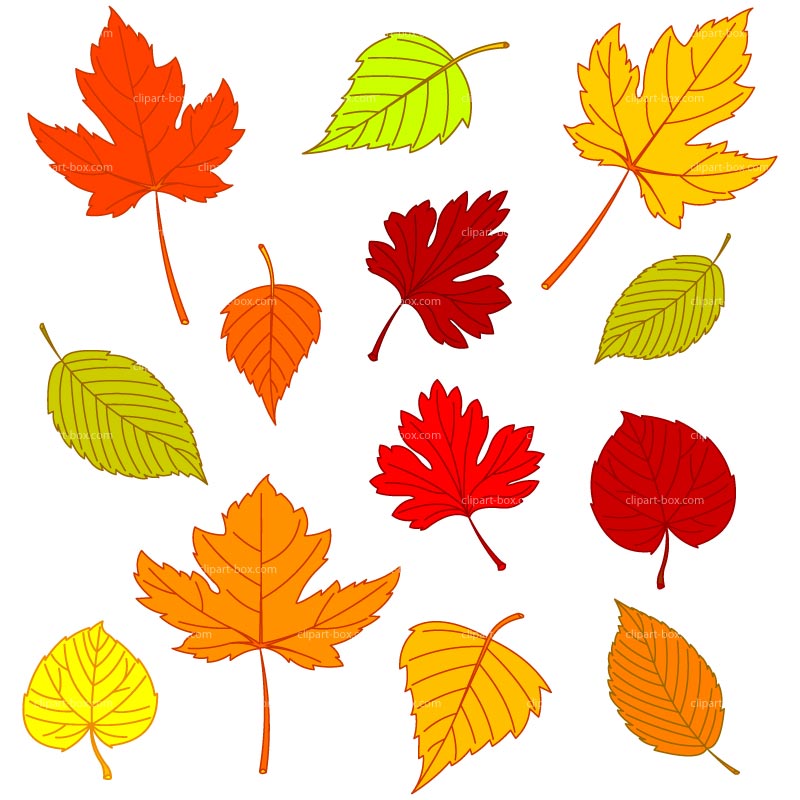 Small Fall Leaves Clip Art Clip Art Library