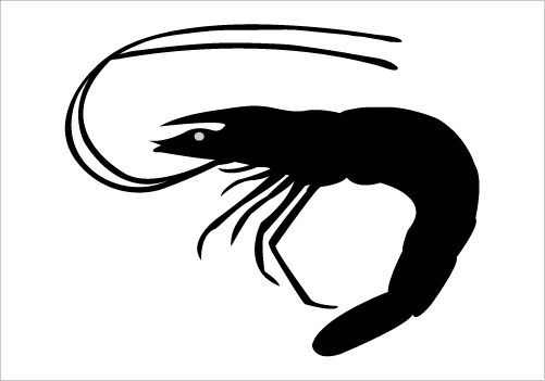 Shrimp Silhouette Graphics 