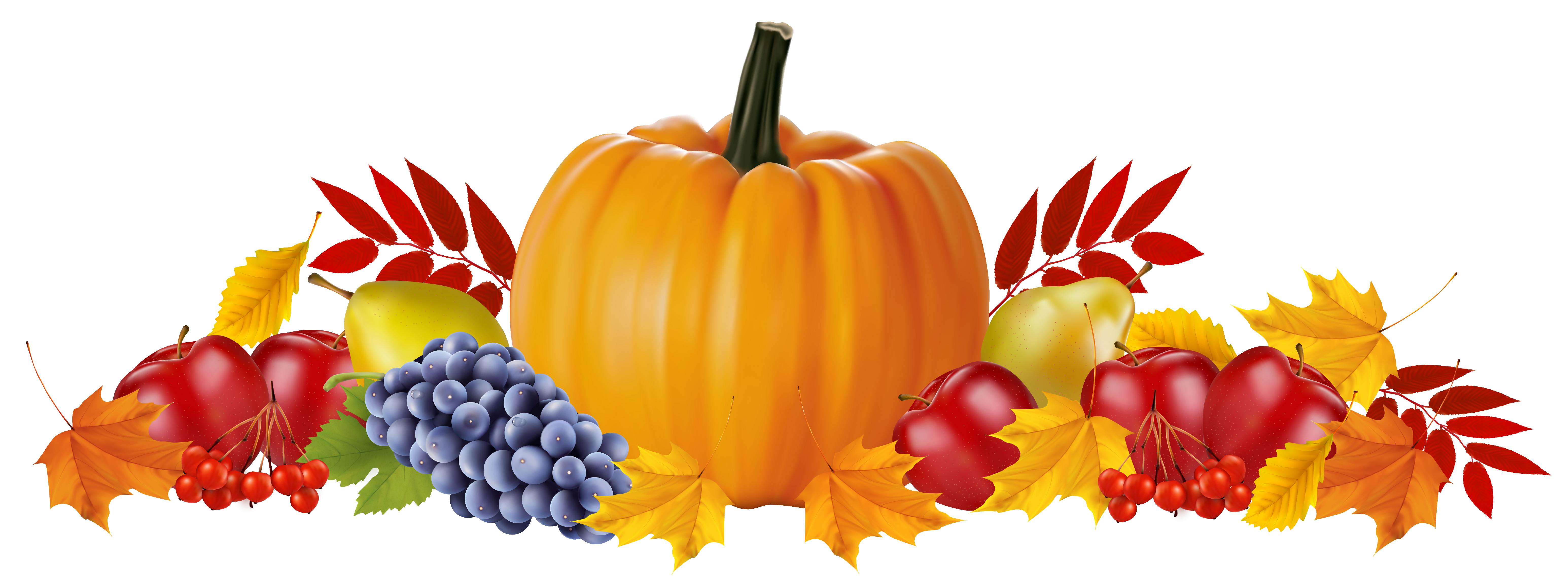 Autumn Fruits and Leaves PNG Clipart Image 