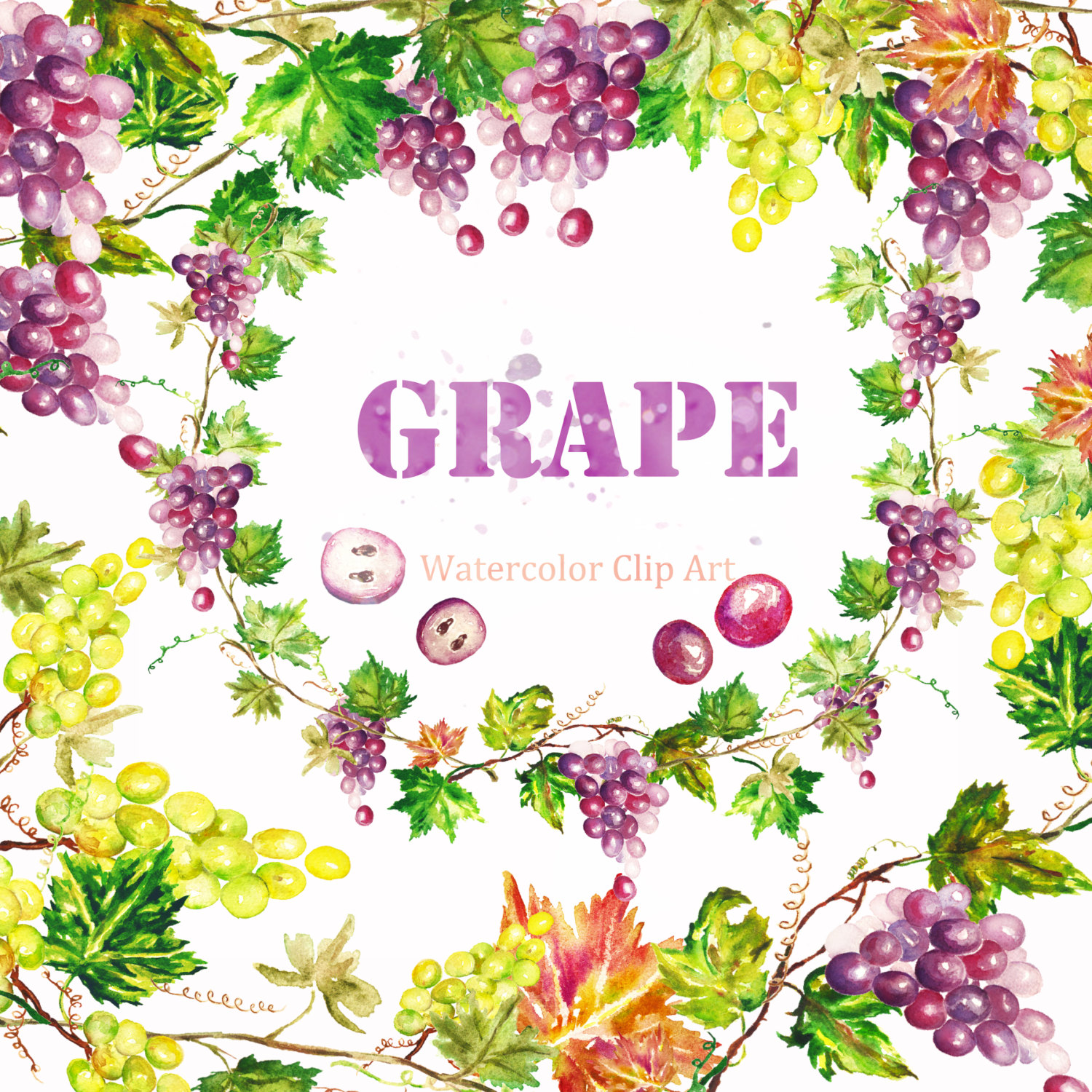Grape clipart 