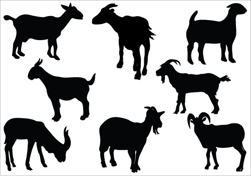 nubian dairy goat silhouette