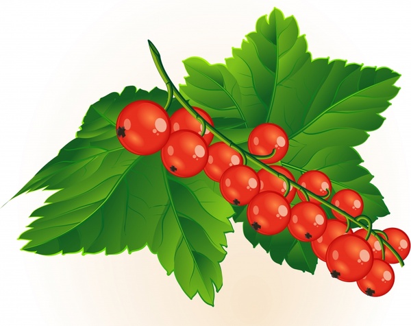 Small red berries clip art Free vector in Encapsulated PostScript 