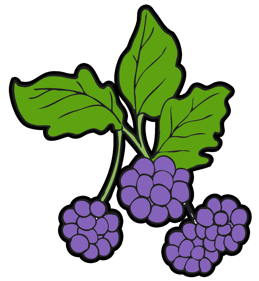 Free berries clipart 
