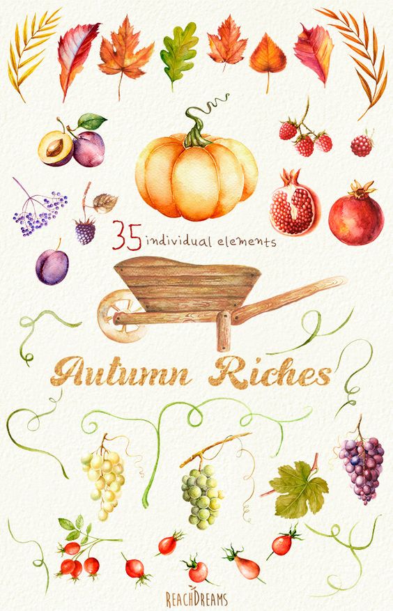 Autumn Harvest Watercolor clipart. Fall, Halloween, Pumpkin 