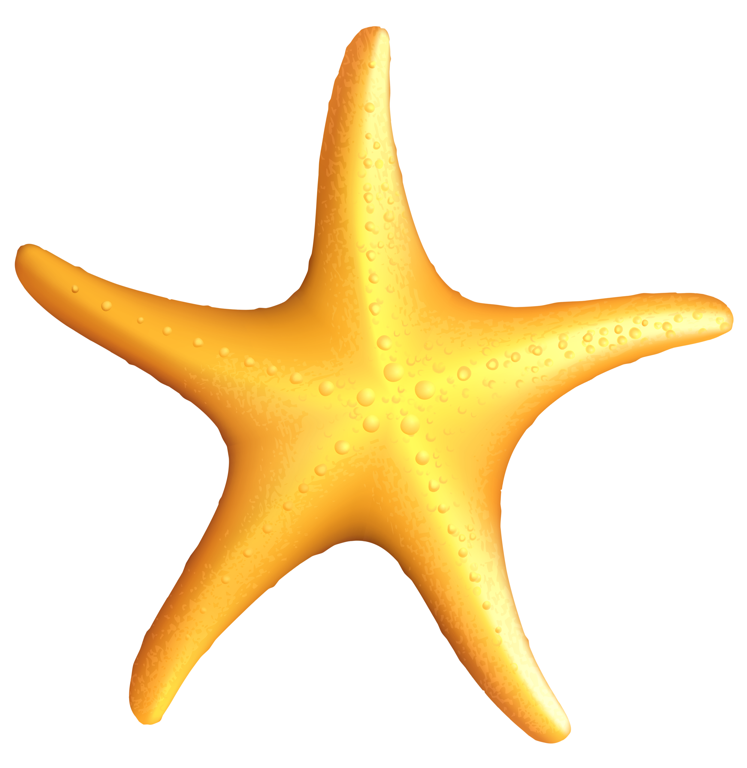Starfish Clipart  Starfish Clip Art Image 