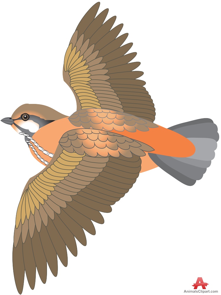 Bird Flying with Open Wings Clipart 