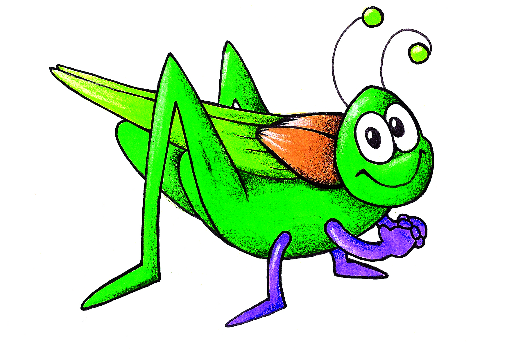 Cute Cricket Insect Clipart 